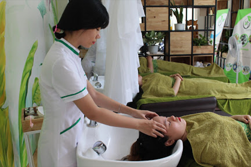 goi-dau-thao-duoc-1